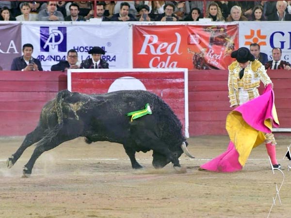 Leo con el segundo de su lote