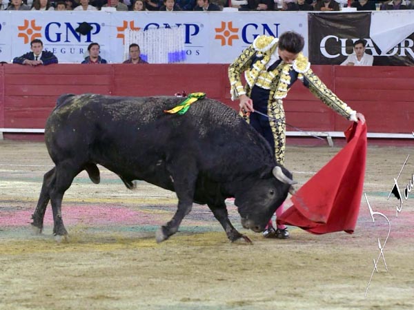 La muleta a media altura