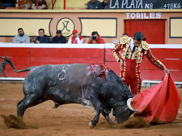 Oficio, voluntad y entrega