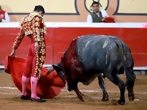 Gerardo Rivera se impuso al toro