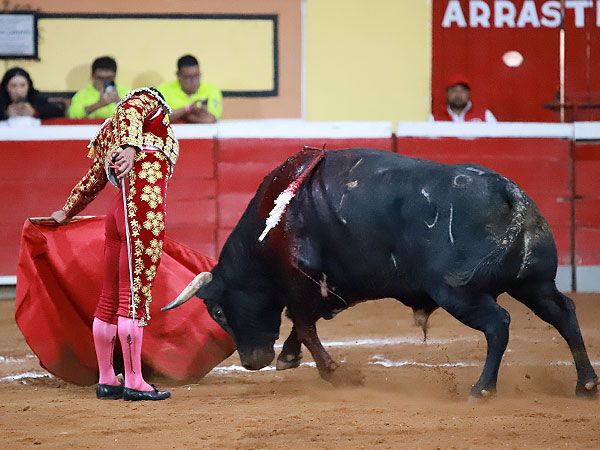 Metido en la muleta