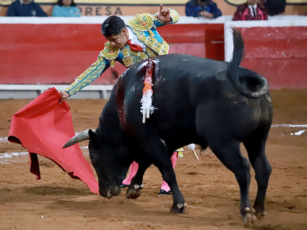 Tauromaquia personal