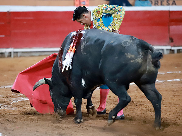 Calidad en la embestida