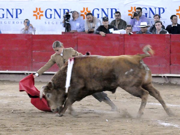 Inicio de faena de muleta