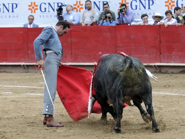 Verticalidad y est�tica