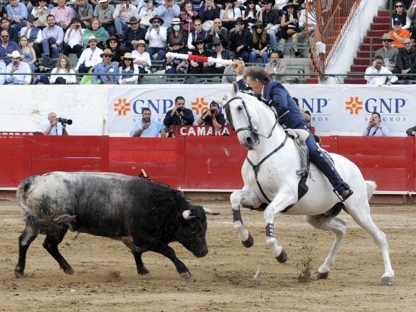 Banderilla larga en los medios