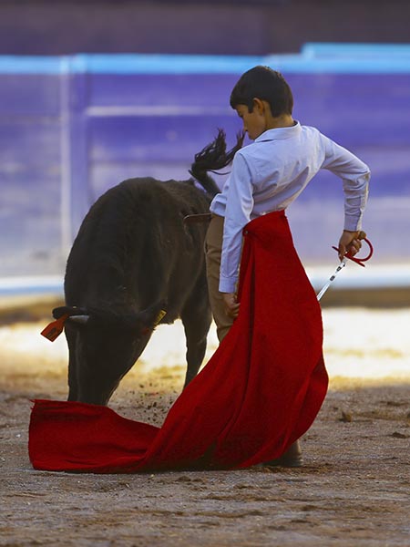 �Olee�! ...Por Jos� Mar�a Cu�llar