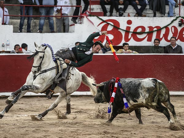 Banderilla al viol�n