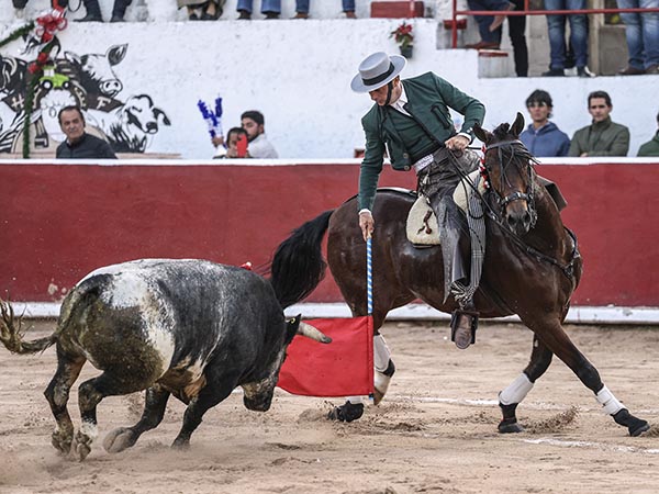 Toreando con la banderola