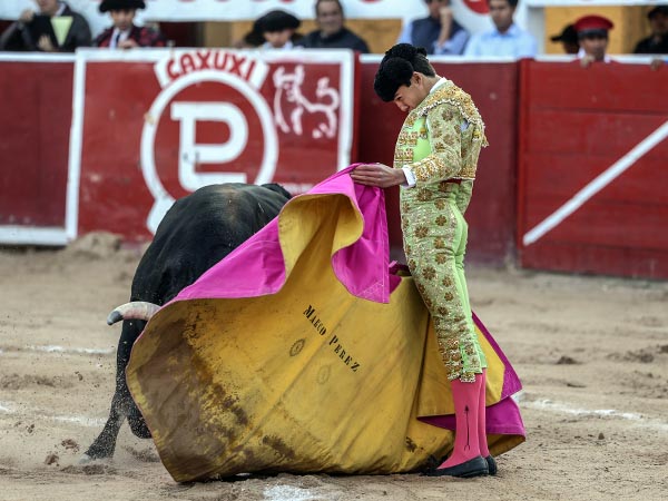 Las ver�nicas de Marco