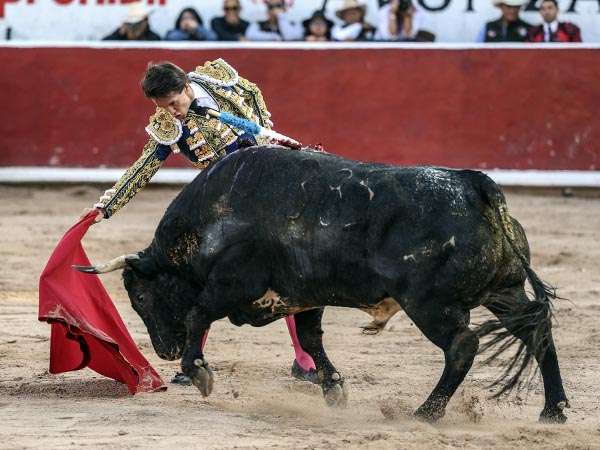 Tirando del c�rdeno