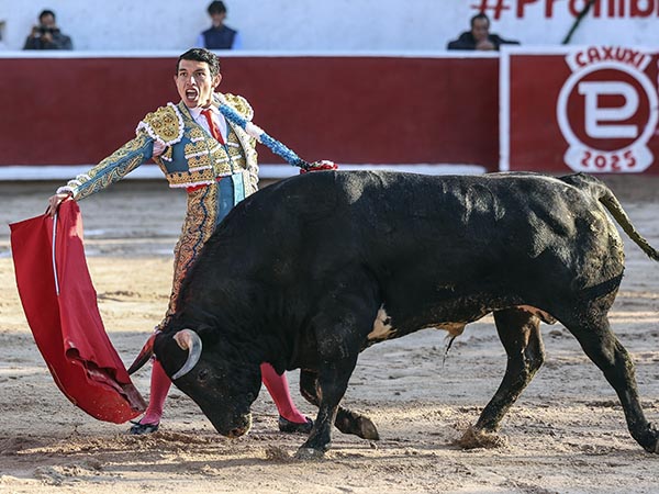 Enjundia en la faena