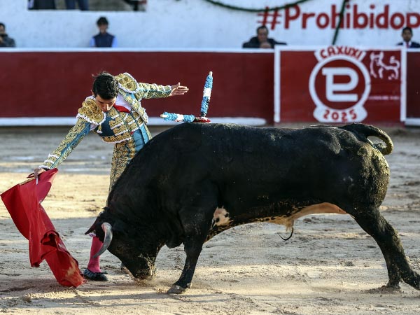 Nobleza del ejemplar