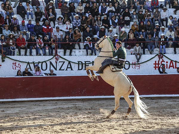 Espectacular monta de Andy