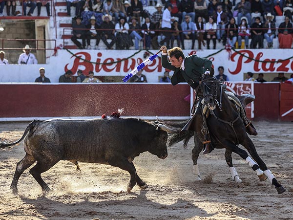 Larga, en los medios
