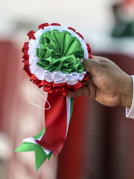 El color de la divisa