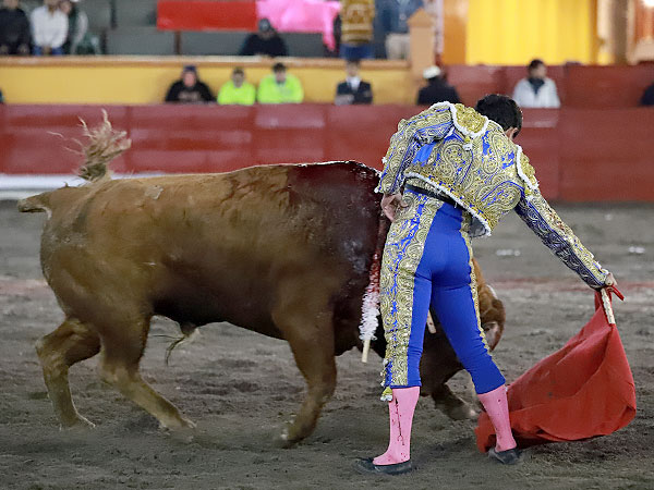 Estructurando la faena