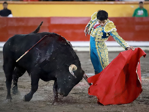 Metido en la muleta