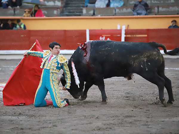 Vibrante inicio de faena