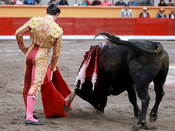 Meti�ndolo en el enga�o