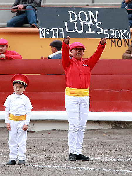 El Toro de la alternativa