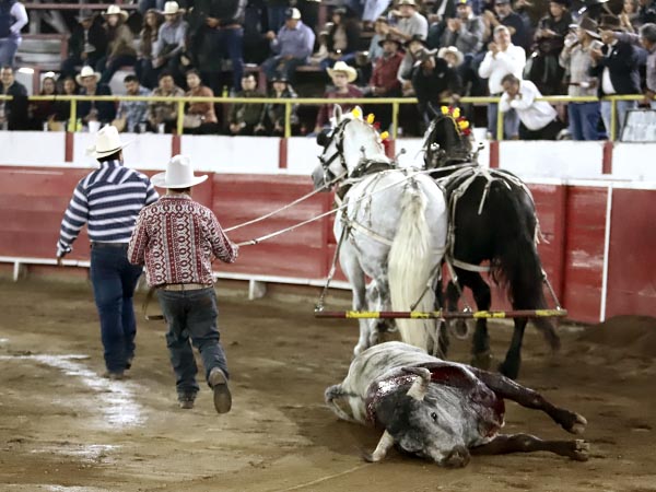 Magn�fico ejemplar