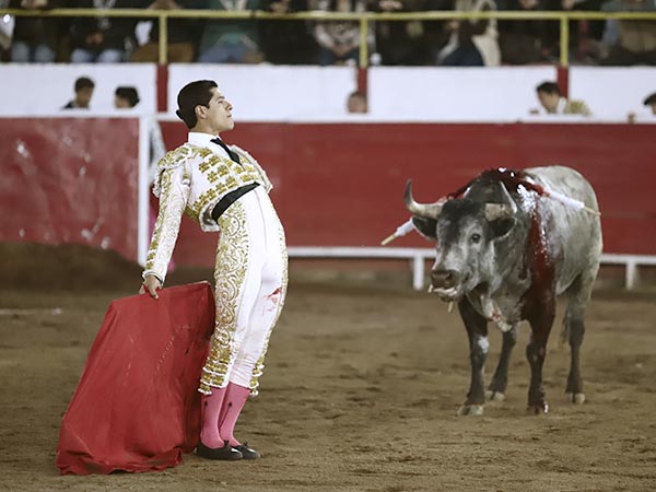 Regusto por su labor