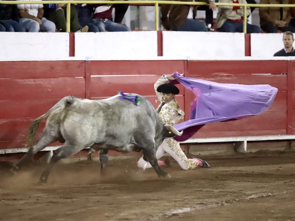 Saludando al c�rdeno