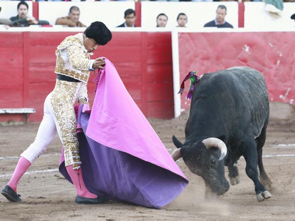 Las ver�nicas de Luis David