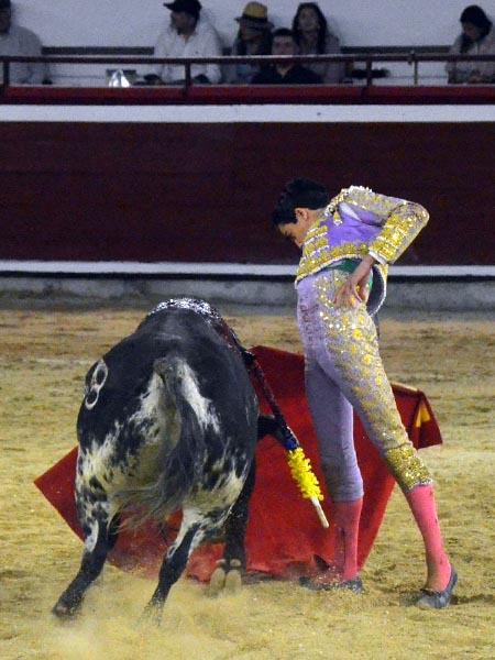 En el gusto cale�o