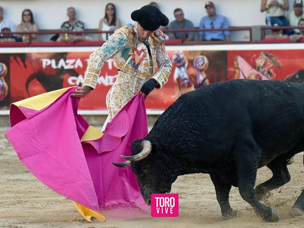 Alejandro, con bronca en su lote