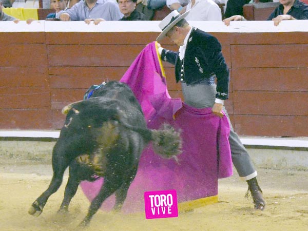 Ramillete de ver�nicas