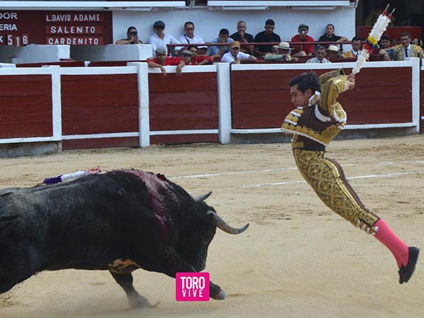 Maestro banderillero