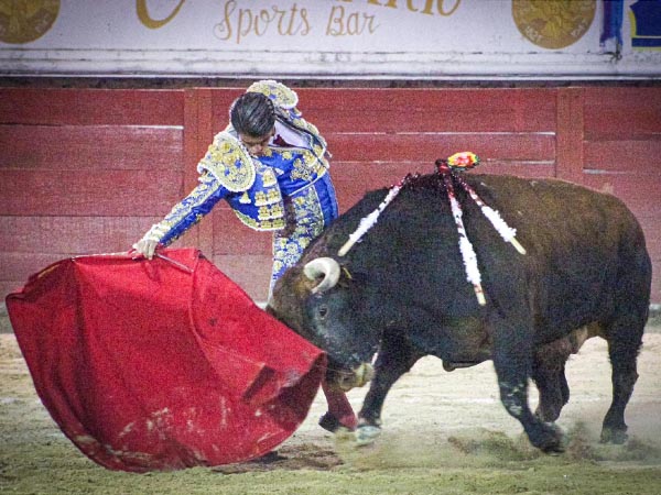 Tirando del ejemplar