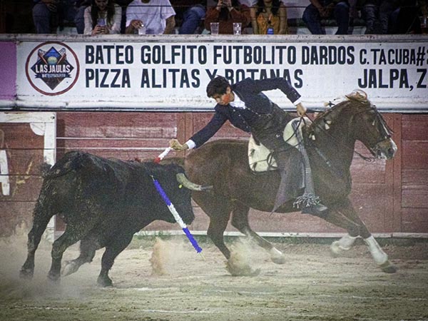 Ayala luci� en banderillas cortas