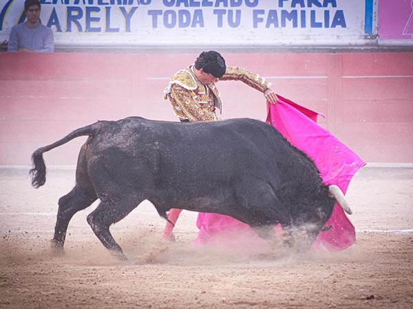 Primer turno de El Galo