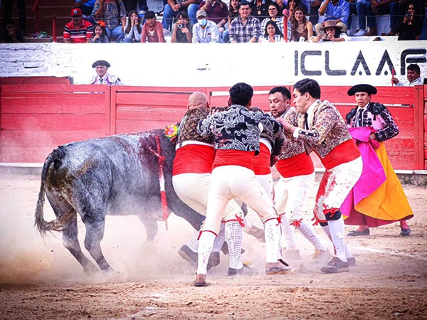 Espectacular pega de los forcados