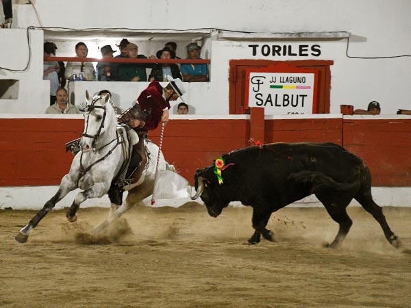 Encelando con la banderola