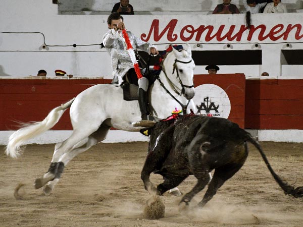 Fauro luci� en banderillas