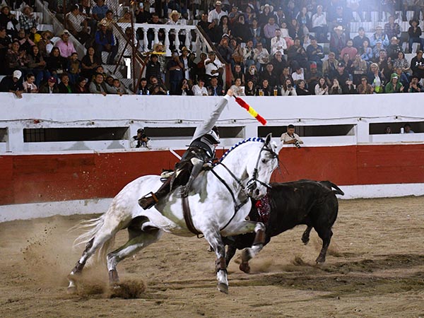 Maestro del viol�n