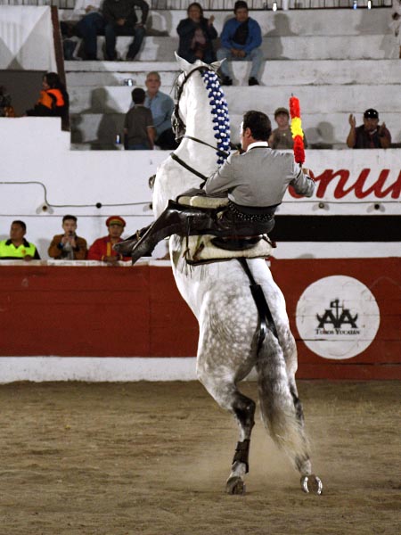 La alzada del tordillo