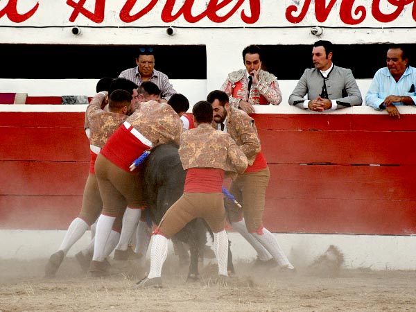 Valent�a de forcados