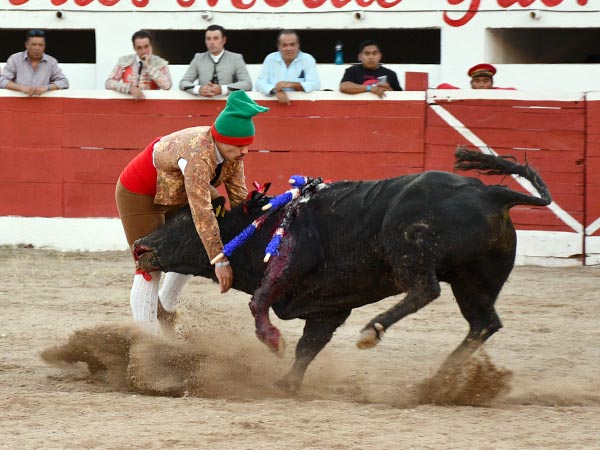 El toro por los cuernos