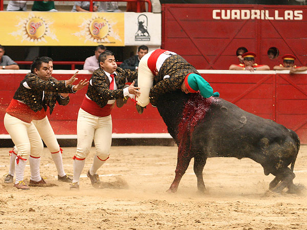 Forcados de Mazatl�n