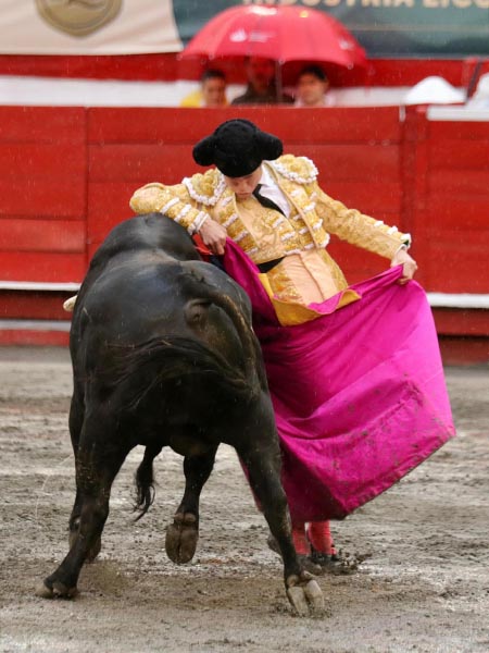 Ce�idas chicuelinas