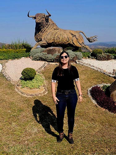 Ante el toro de bronce