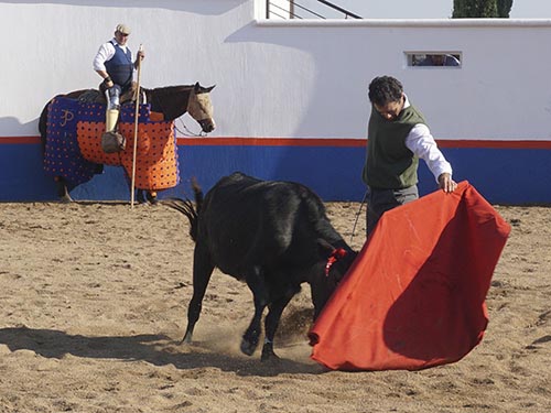 Primeros pases en los medios