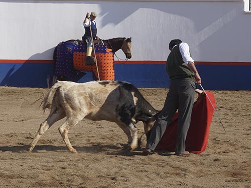 Nobleza de la jabonera