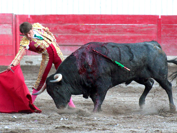 Suavidad en el trazo