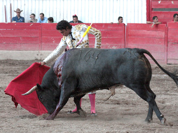 Detalle de Israel T�llez